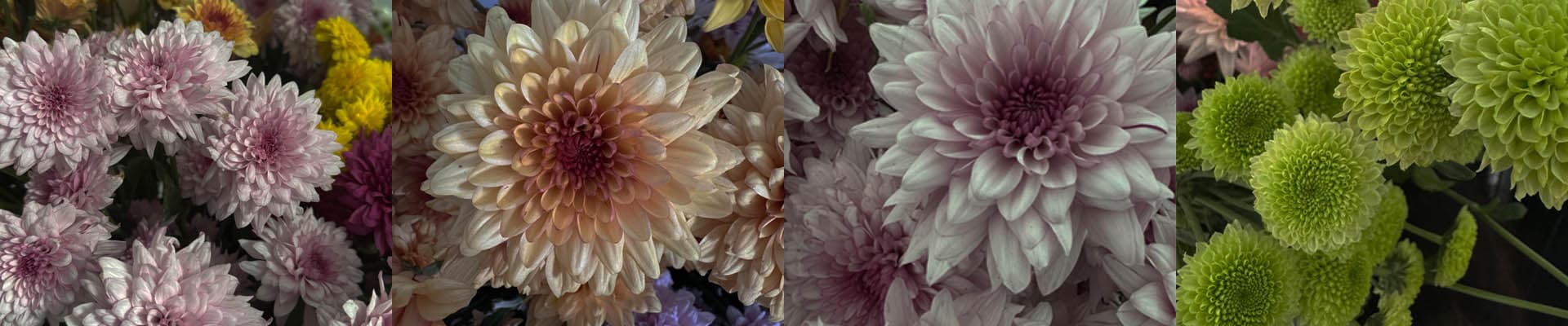 Wel's Flower Shop Banner